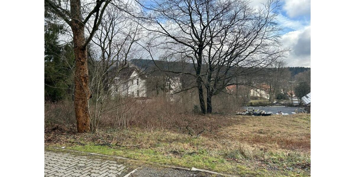 Provisionsfrei* Unbebautes Grundstück im Ortskern Hahnenklee - Grundstück Goslar Hahnenklee | Angebot:26063662