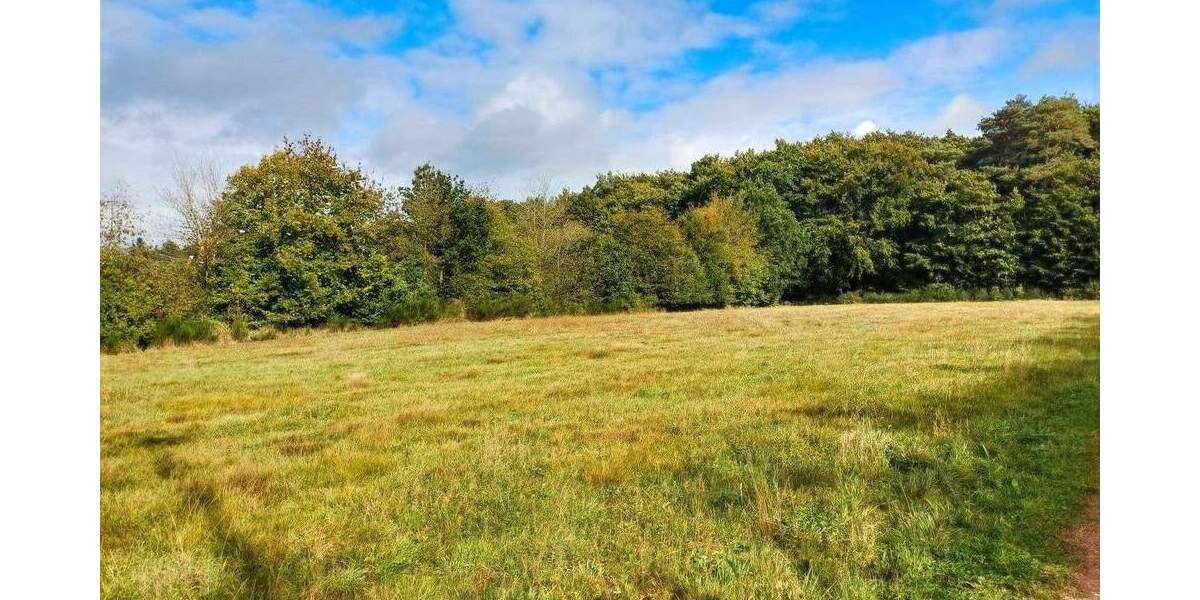 Grundstück Herforst - 63.500&euro; | Angebot:25739681