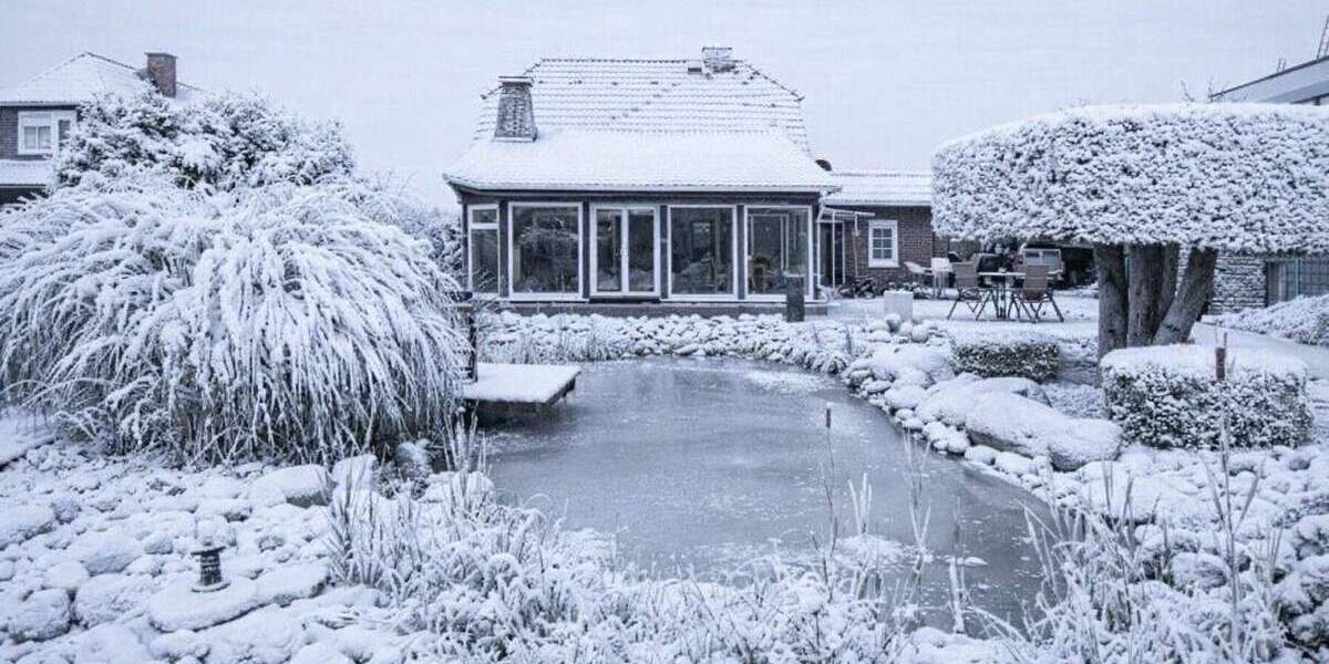 Modern wohnen am Waldrand: Photovoltaik, Teich & Privatsphäre! Provisionsfrei! 4 zimmer