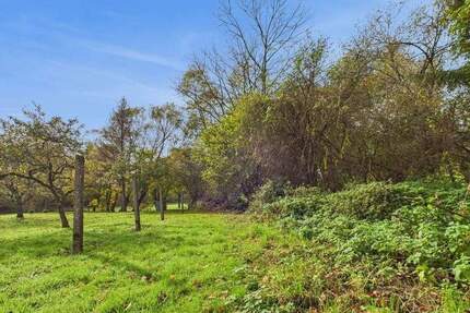 Grundstück Blieskastel / Ballweiler Wecklingen - 95.000&euro; | Angebot:23948319