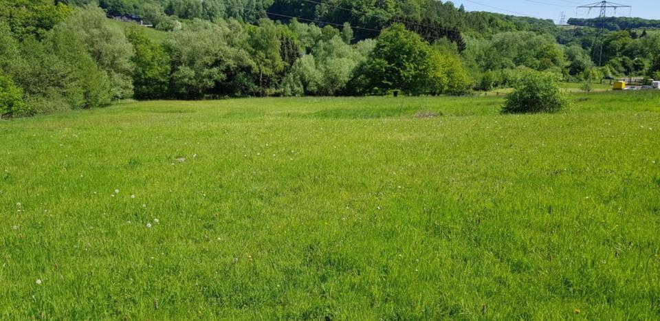 Grundstück Hattingen Blankenstein - 5&euro; | Angebot:25409917