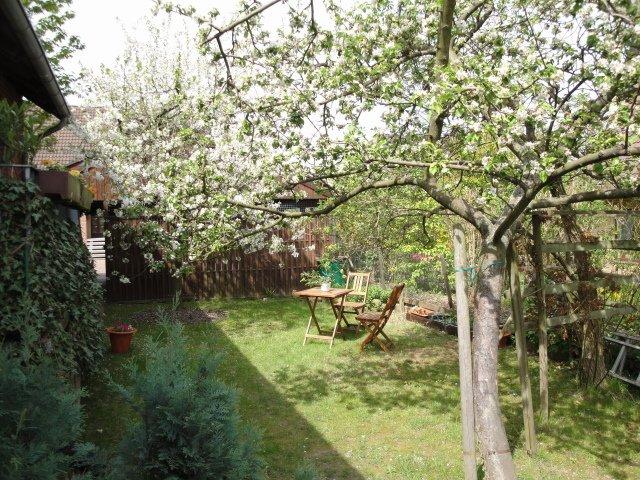 Dachgeschoßwohnung Braunschweig Südstadt- Rautheim- Mascherode - 3 Zimmer, 74 m&sup2;, 600&euro; | Angebot:26399675