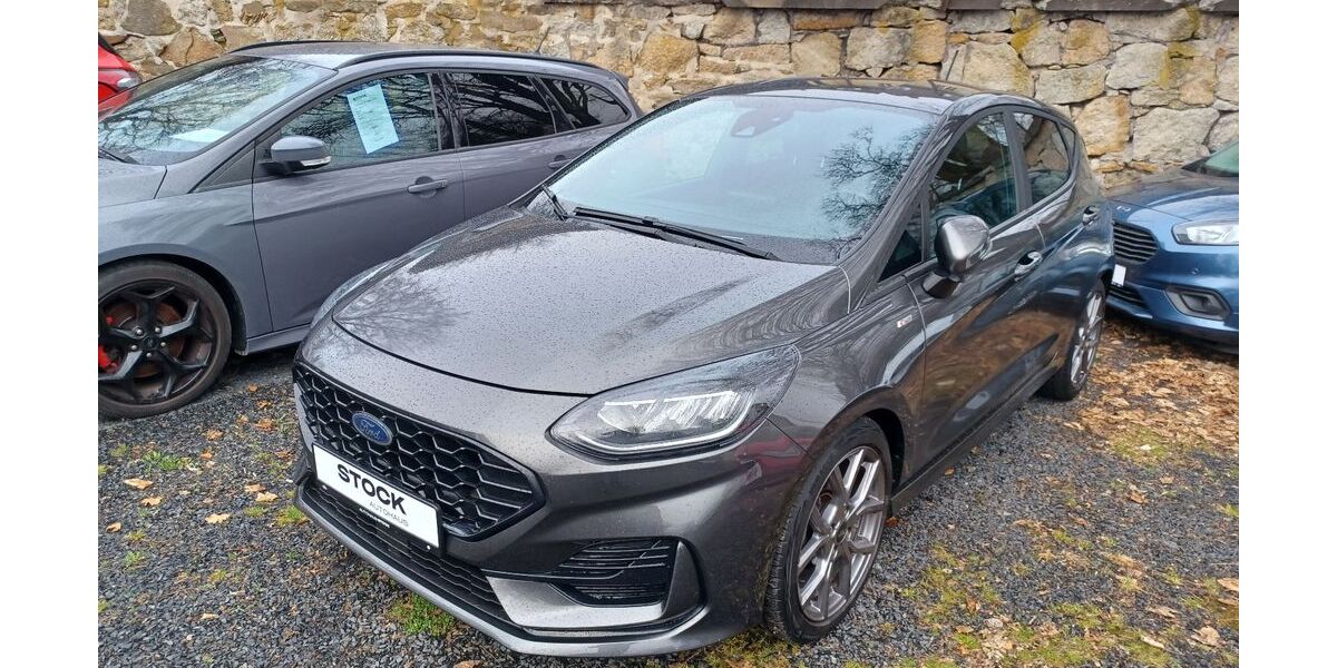 Ford Fiesta 43.750 km 15.790 &euro; Wiesau 95676