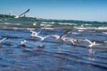 Exklusive Etagenwohnung mit Ostseeblick im Panoramic-Komplex Sierksdorf - Etagenwohnung Sierksdorf | Angebot:27225067