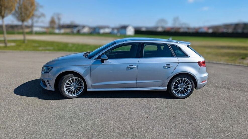 A3