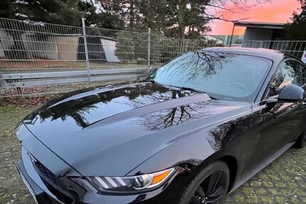 Ford Mustang 123.750 km 22.999 &euro; Speyer 67346