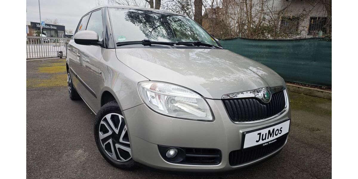 Skoda Fabia 142.093 km 4.100 &euro; Wiesbaden 55252
