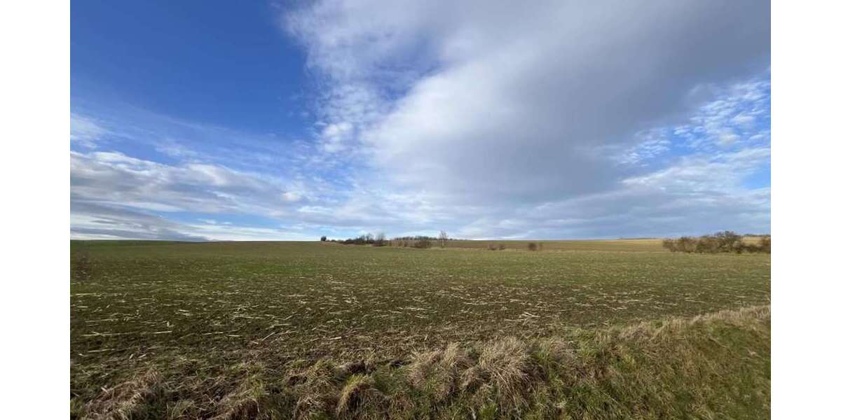 Grundstück in Bad Berka 15.000 € 55198 m² zimmer