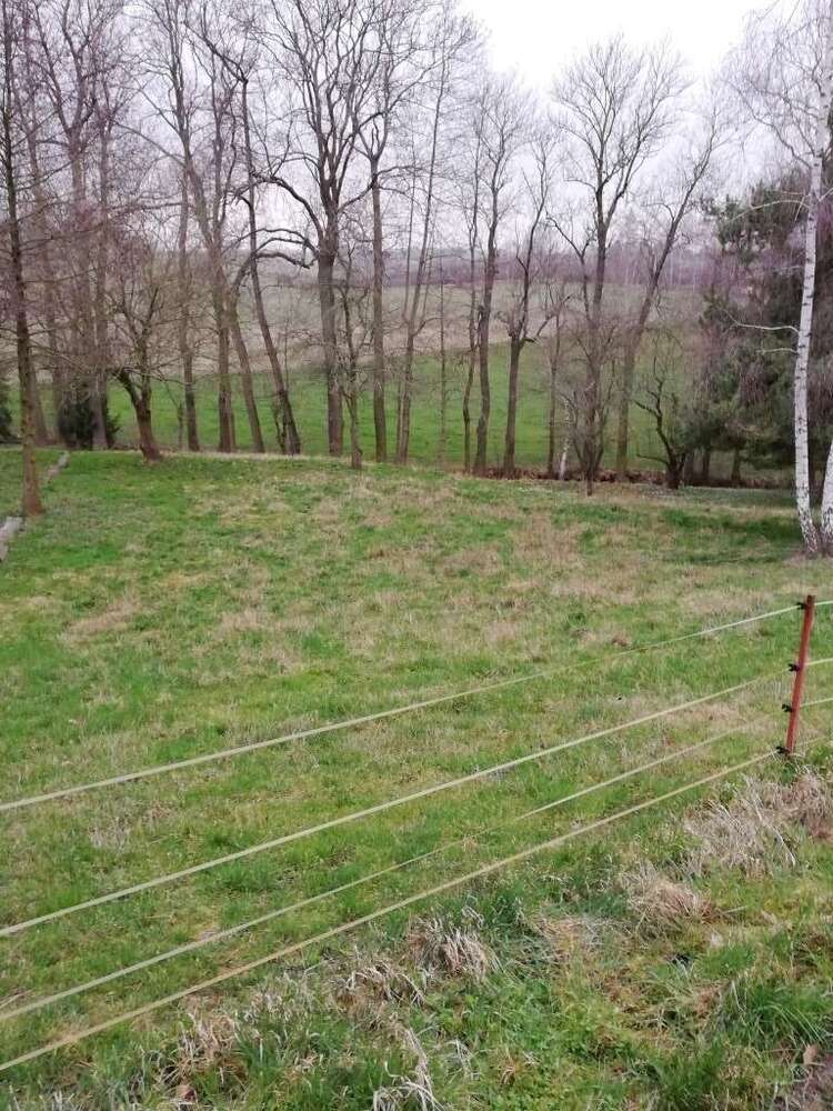 Grundstück zu verkaufen in Mügeln 58.000 € 1055 m²