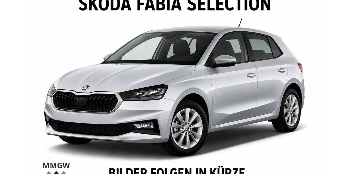 Skoda Fabia 18.788 km 16.990 &euro; Bensheim 64625