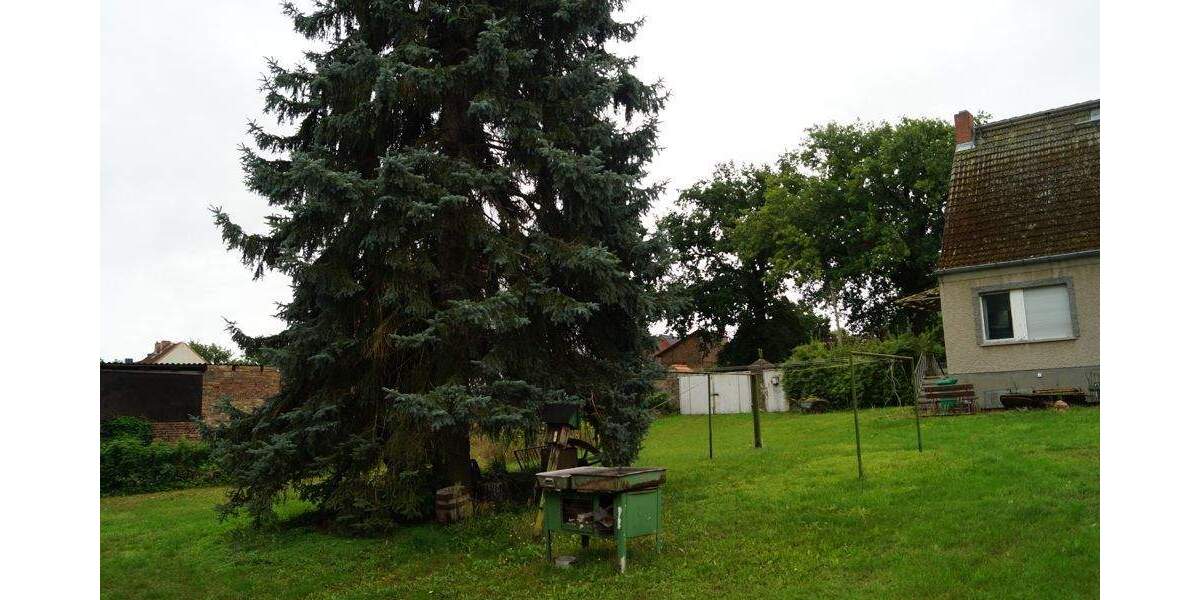 Grundstück Mittenwalde / OT Schenkendorf-Krummensee Krummensee - 799.000&euro; | Angebot:25663576