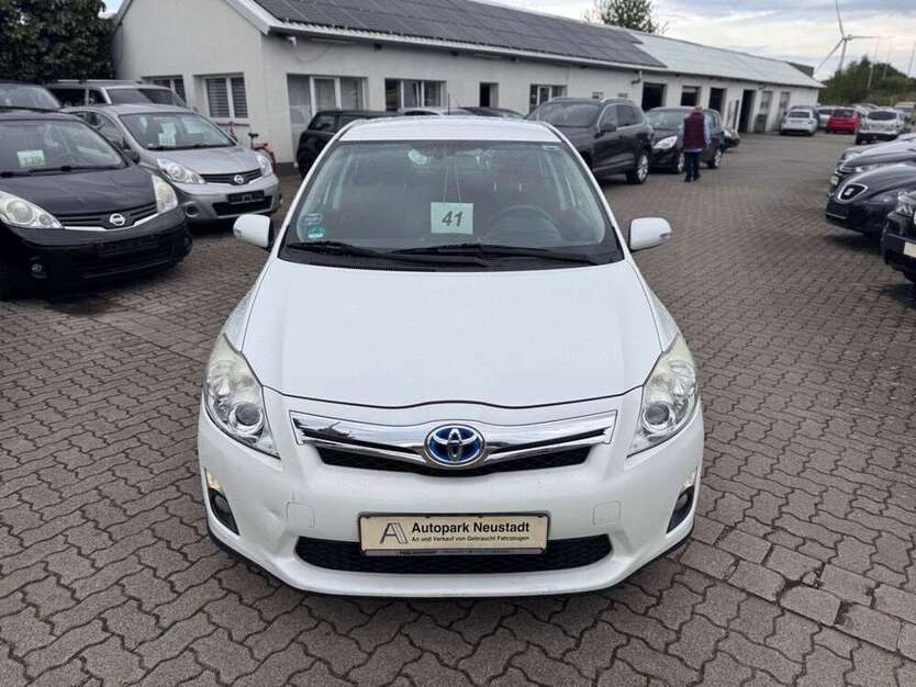 Auris