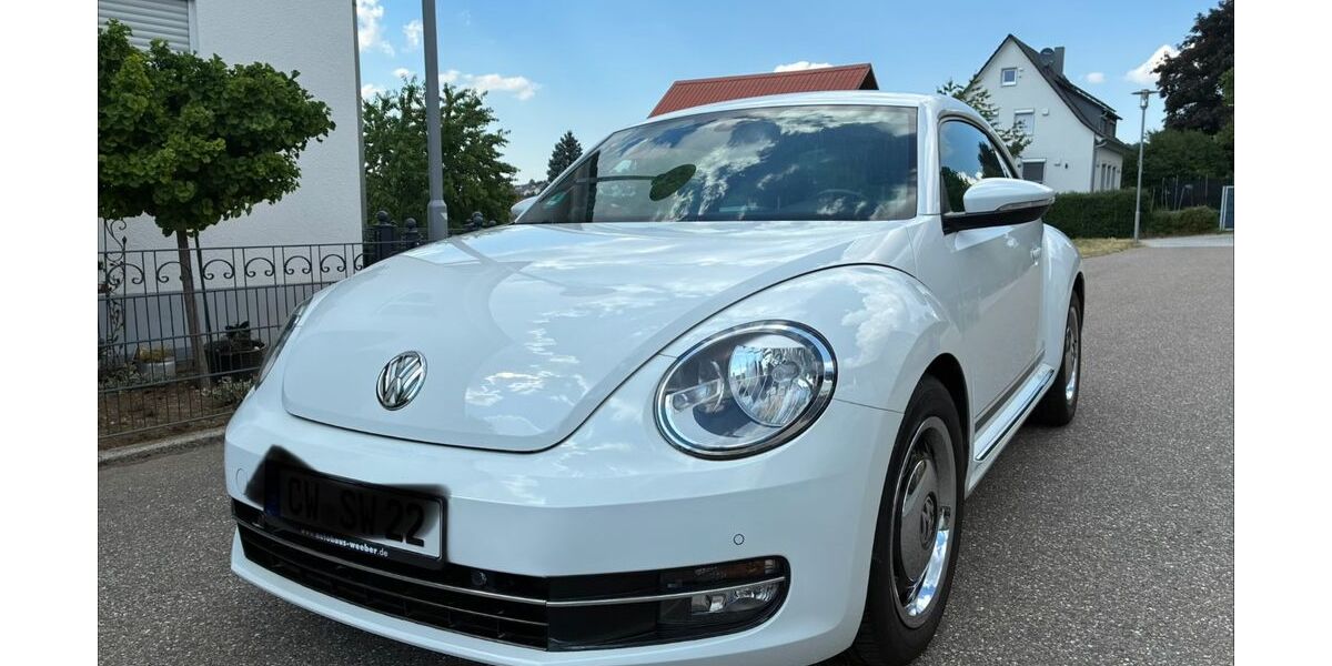 VW Beetle 48.454 km 13.500 &euro; Calw 75365