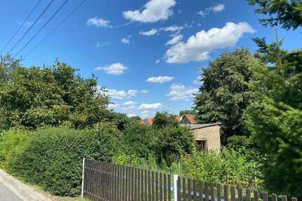 Grundstück zu verkaufen in Neukirch 60.000 € 950 m²