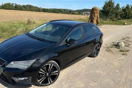 Seat Leon 190.000 km 10.999 € Schöppenstedt 38170