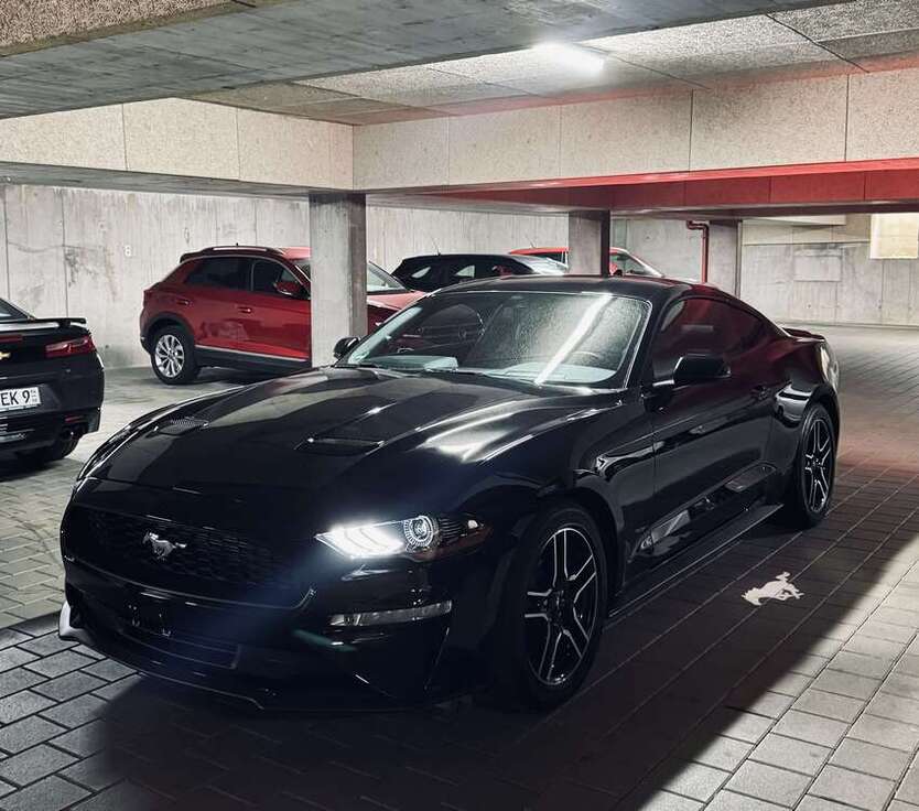 Ford Mustang 38.500 km 31.900 € Villingen - Schwenningen 78048