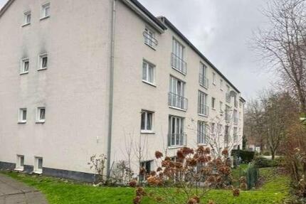 Große helle 3-Zimmer-Wohnung in ruhiger Lage zu vermieten. zimmer