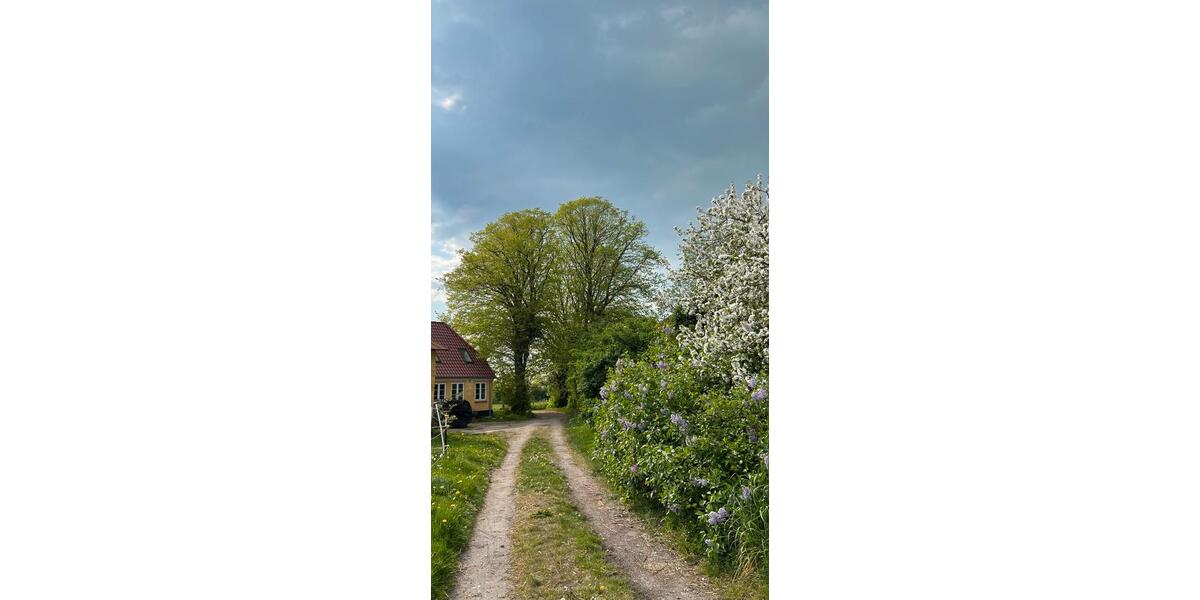 Bauernhaus, Landhaus Harrislee - 7 Zimmer, 235 m&sup2;, 208.000&euro; | Angebot:26690761