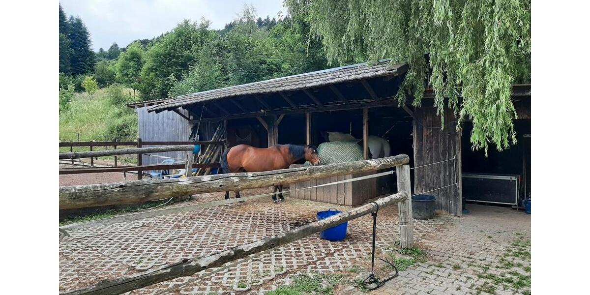 Einfamilienhaus Berghaupten - 880.000&euro; | Angebot:26991648