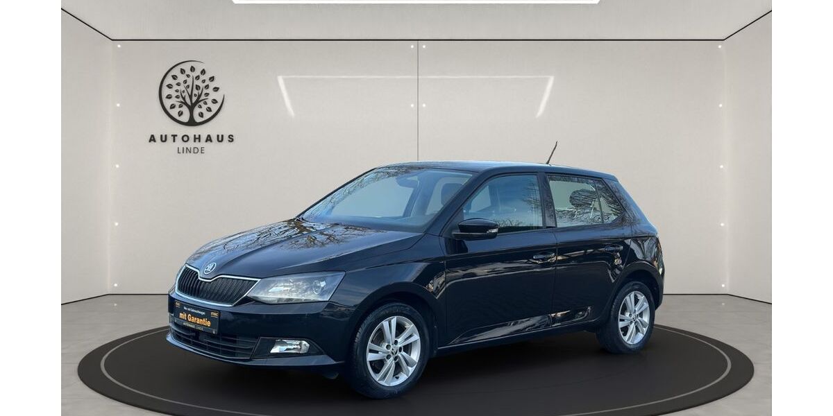Skoda Fabia 131.241 km 6.990 &euro; Nassenheide 16775