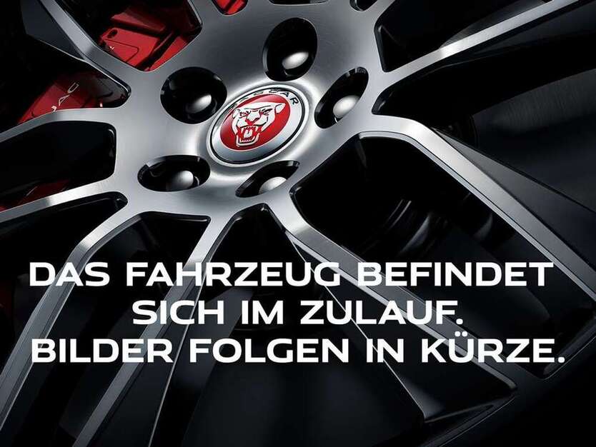 XF