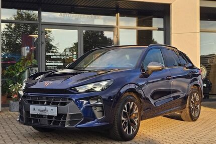 Cupra Terramar 25.432 km 33.900 &euro; Altentreptow 17087