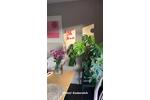 Etagenwohnung Lauterbach - 3.5 Zimmer, 90 m&sup2;, 211.000&euro; | Angebot:27024789