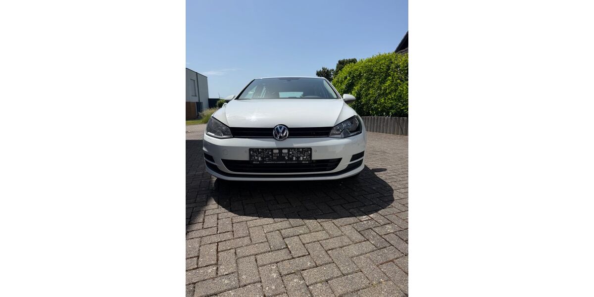 VW Golf 252.600 km 7.000 &euro; Zettingen 56761