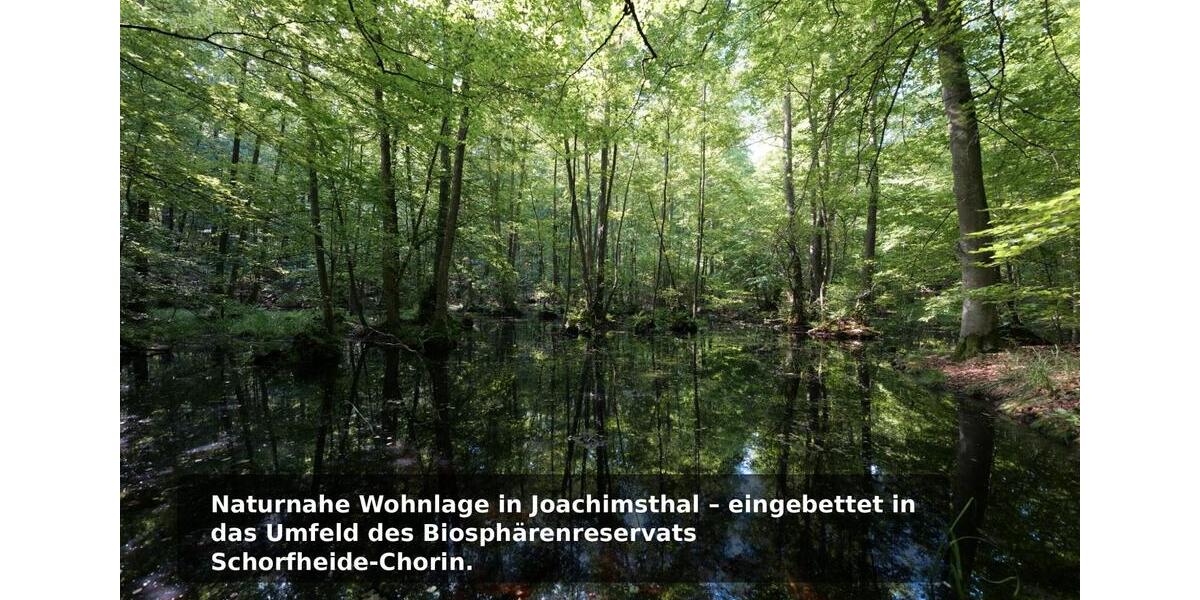 Dachgeschoßwohnung Joachimsthal - 2 Zimmer, 50 m&sup2;, 529&euro; | Angebot:25973990