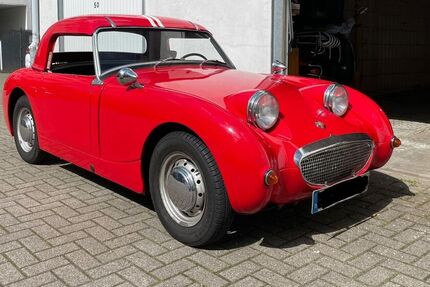 Austin Healey Andere