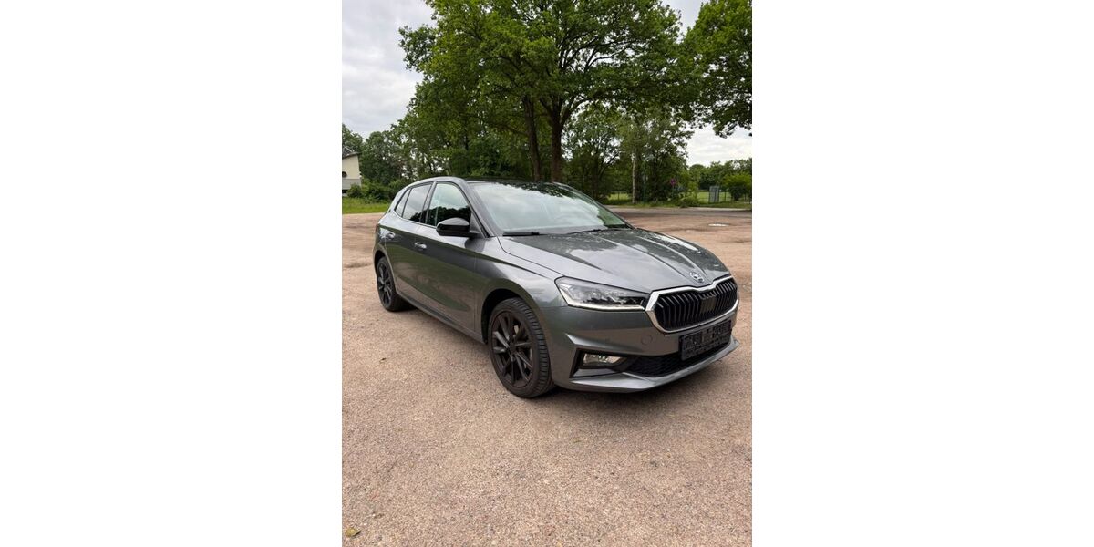 Skoda Fabia 46.258 km 16.300 &euro; Buchholz 21244