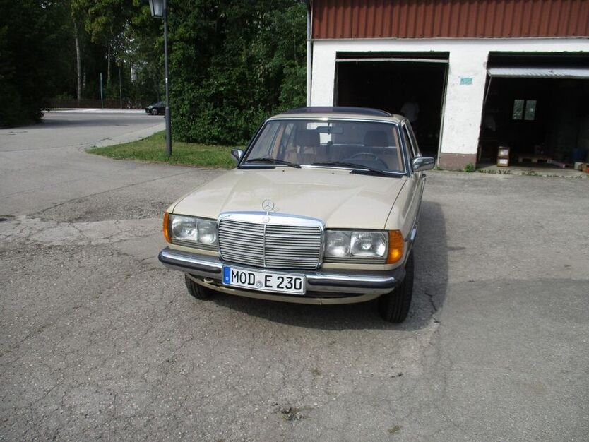 230