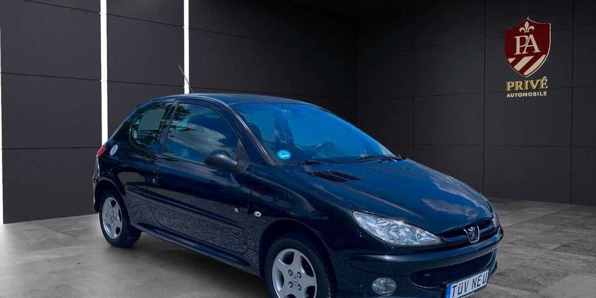 Peugeot 206 123.401 km 1.790 &euro; worms 67547