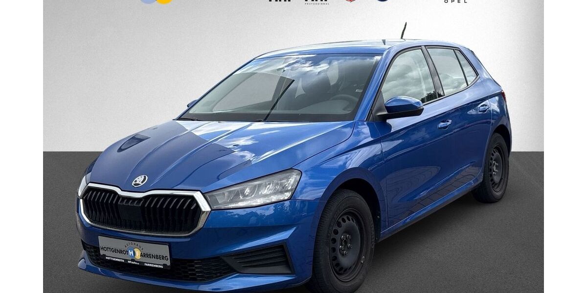Skoda Fabia 40.930 km 14.990 &euro; Altenkirchen 57610