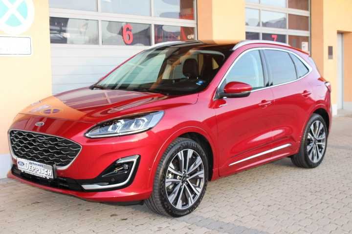 Kuga