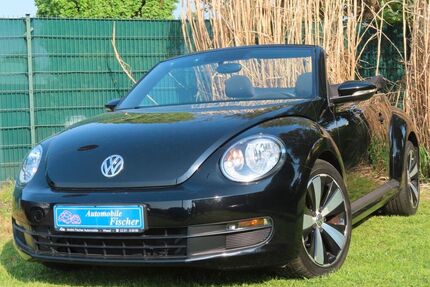 VW Beetle