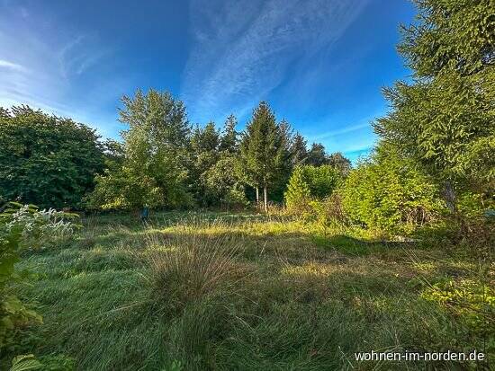Kiel Schlüsbek: Großes Baugrundstück für drei bis vier Einfamilienhäuser in Dorflage zu verkaufen zimmer