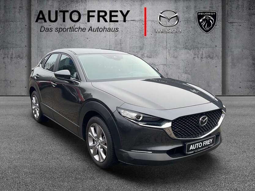 CX-30