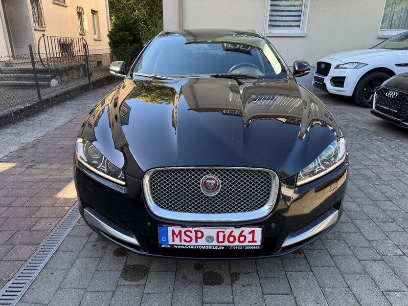 XF