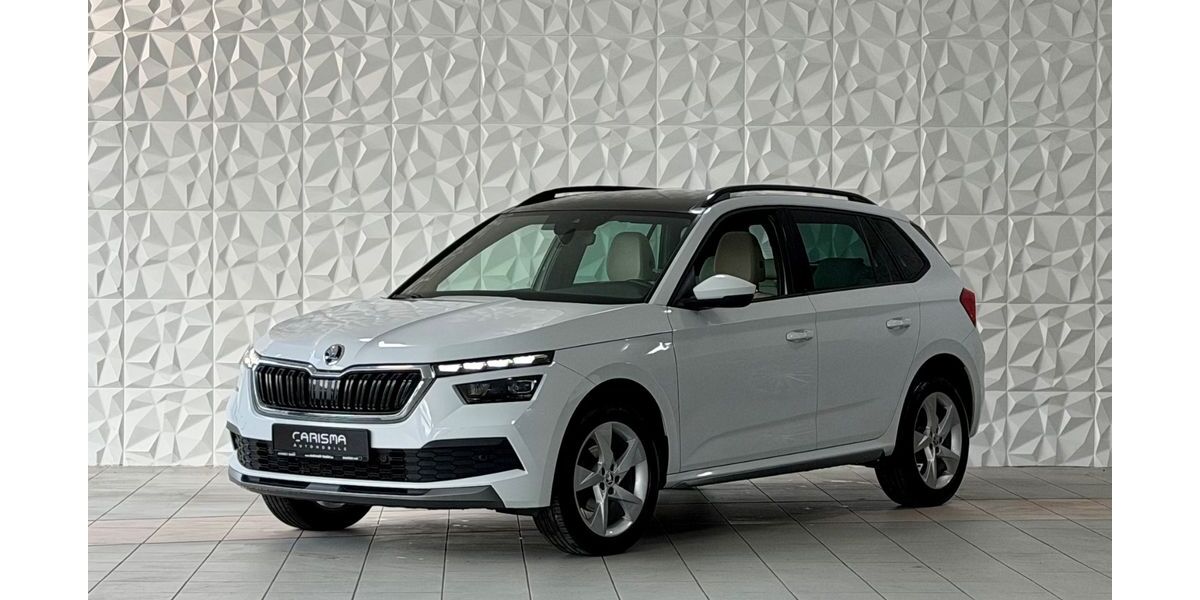 Skoda Kamiq 100.000 km 18.990 &euro; Rottweil 78628
