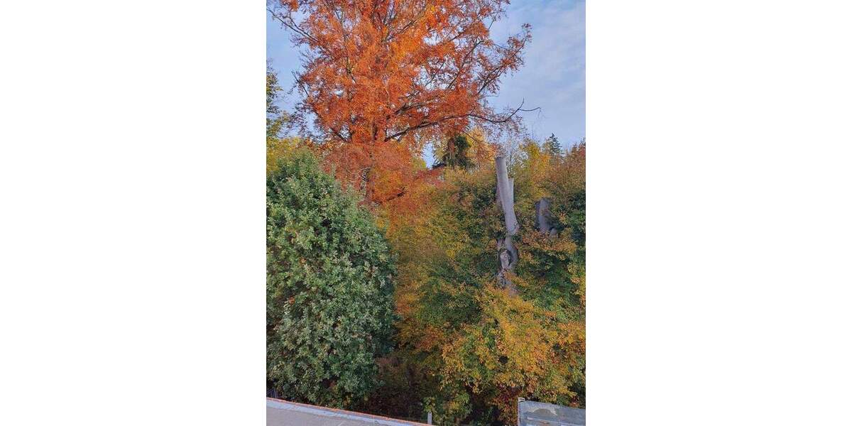 Moderne 3-Zimmer-Wohnung mit Südterrasse - Erstbezug nach Sanierung 3 zimmer