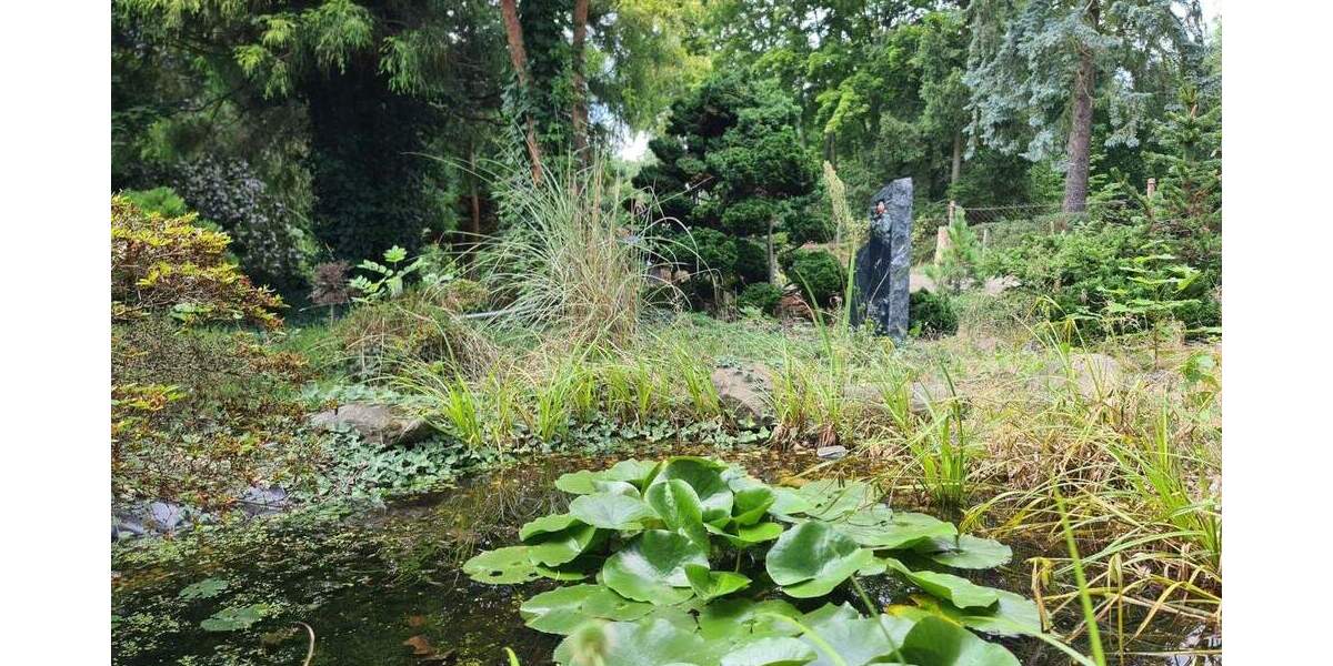 Einfamilienhaus Döbern - 4 Zimmer, 91 m&sup2;, 130.000&euro; | Angebot:23854944