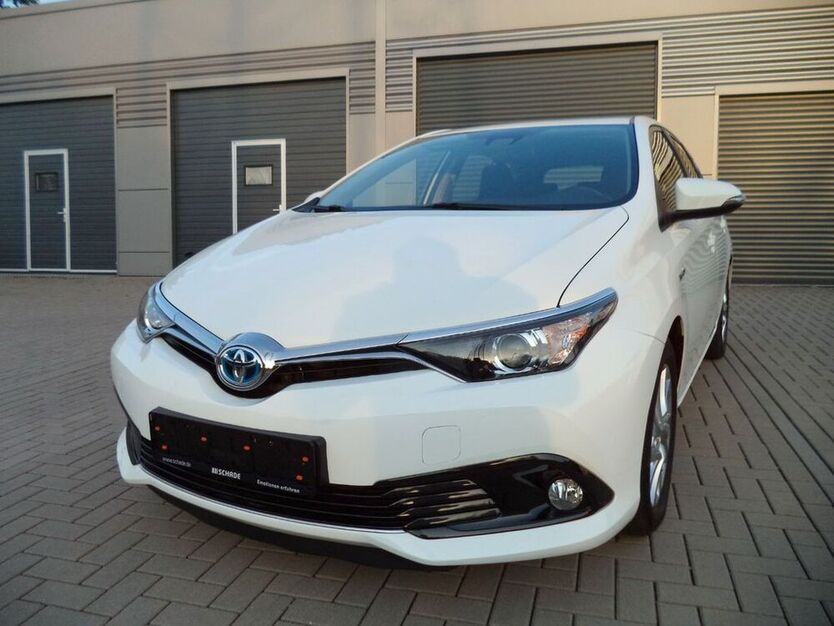 Auris