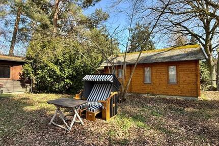 Haus Bad Schmiedeberg - 3 Zimmer, 46 m&sup2;, 55.000&euro; | Angebot:26144663