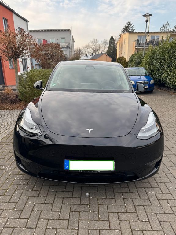 Model Y