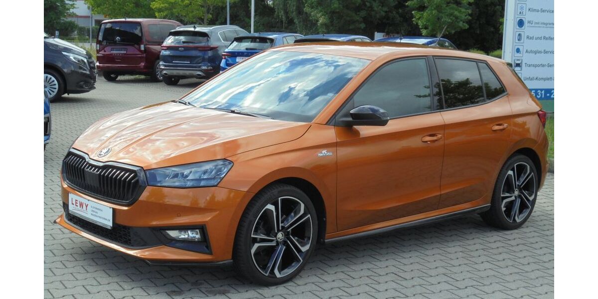 Skoda Fabia 48.651 km 18.900 &euro; Elsterwerda 04910