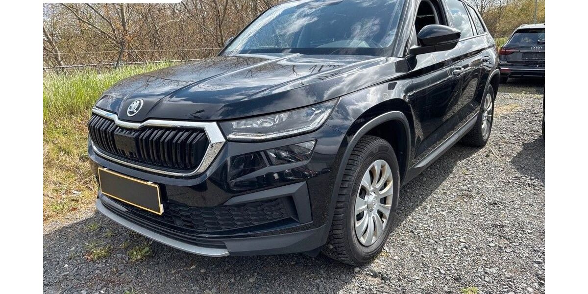 Skoda Kodiaq 125.000 km 25.490 &euro; Steinbach-Hallenberg OT Herges-Hallenberg 98587