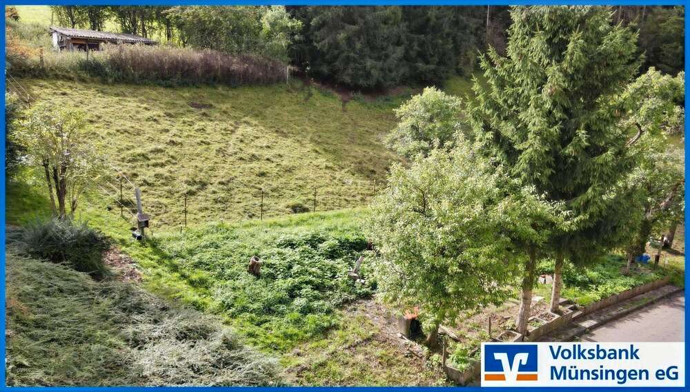 Grundstück Münsingen - 60.000&euro; | Angebot:25399601
