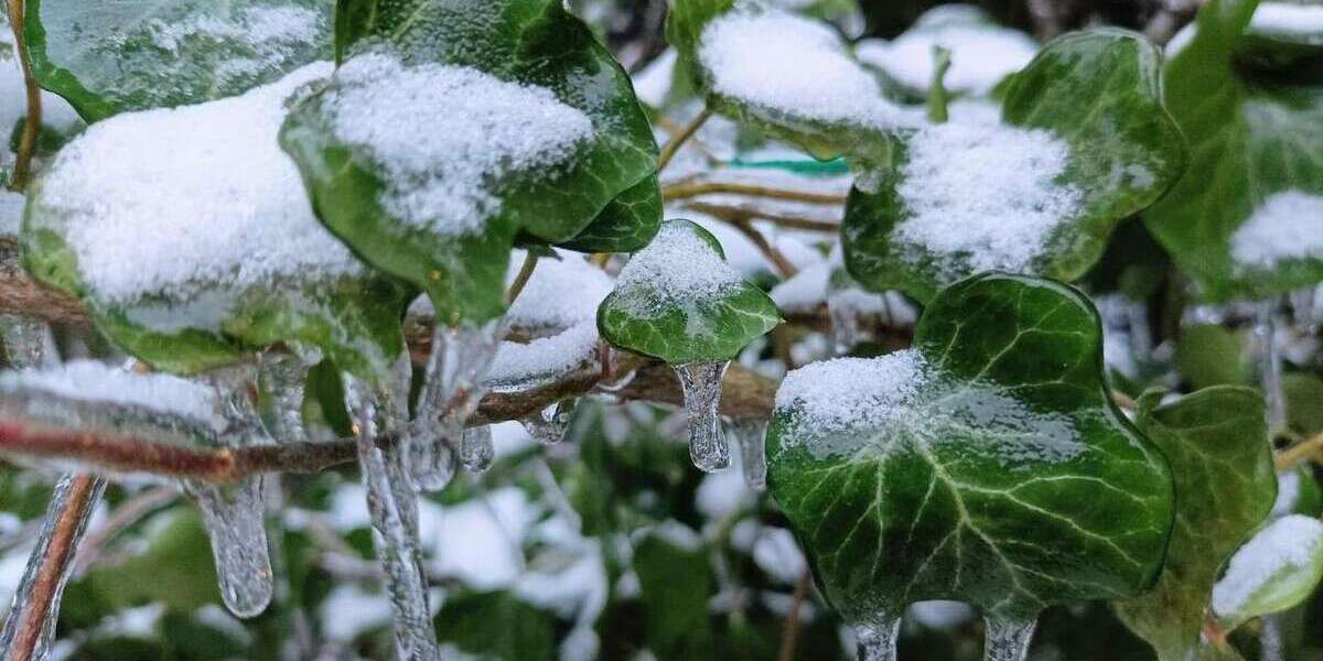 Grundstück Berlin Marzahn-Hellersdorf - 580.000&euro; | Angebot:25079140