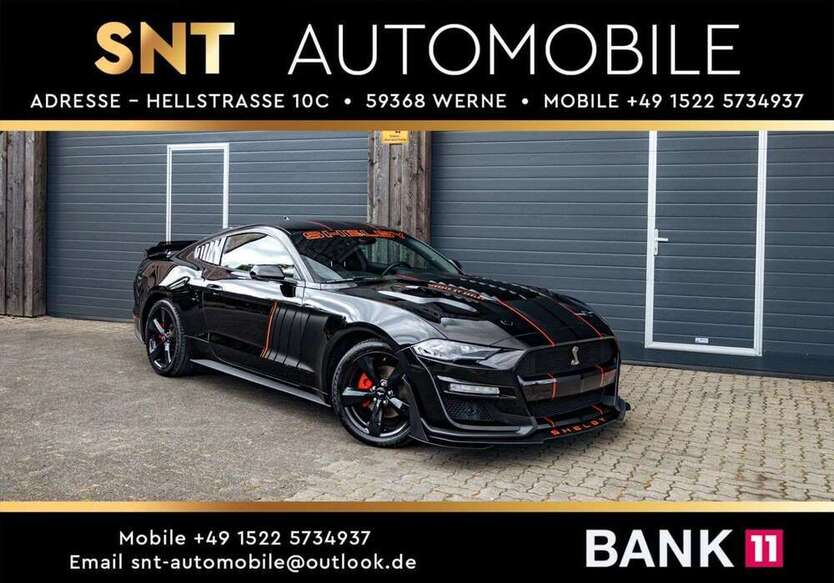 Mustang